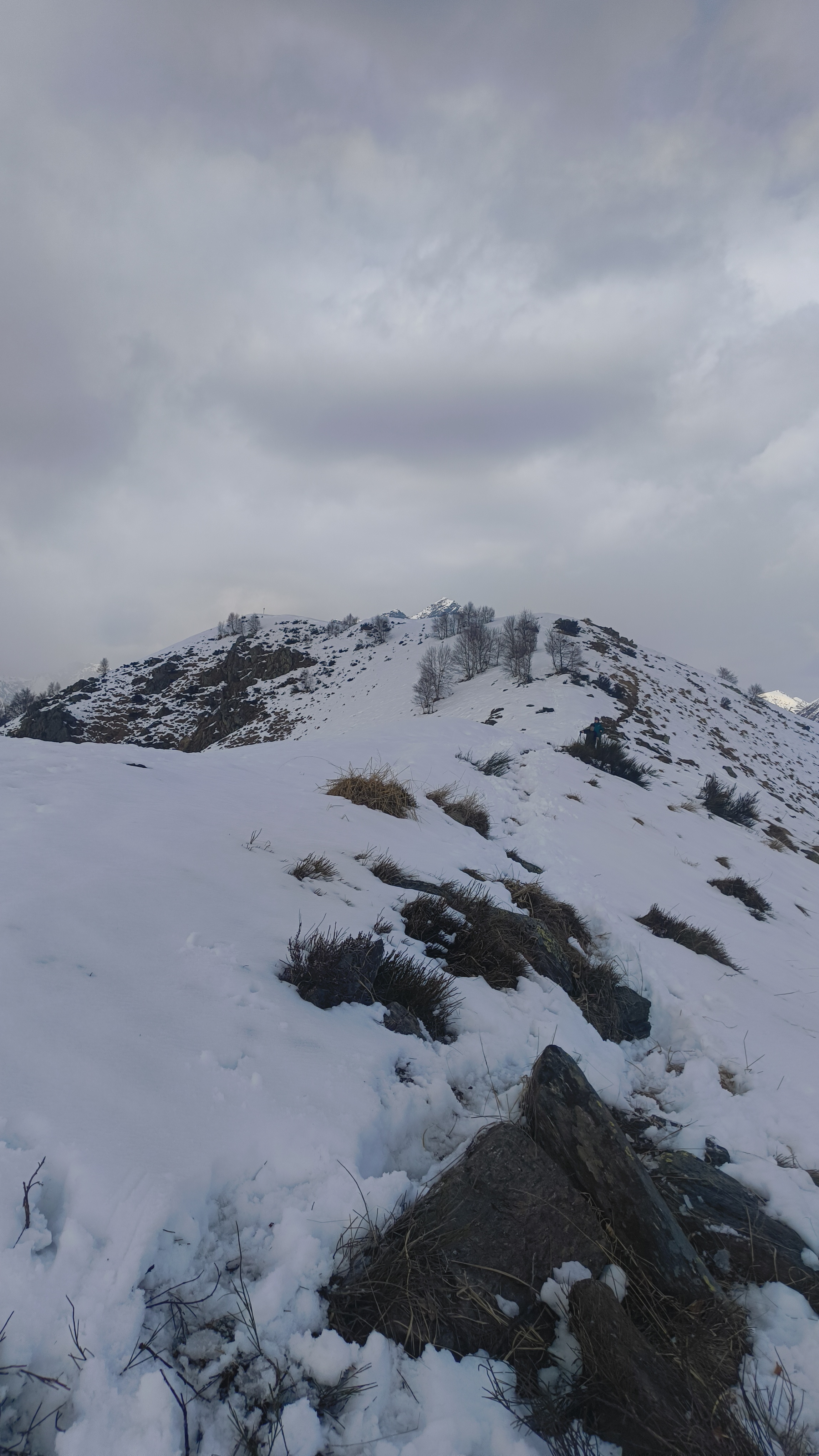 Foto n° 18 del trekking Bivacco del Gufo - Pizzo Pernice │ Alpe Curgei